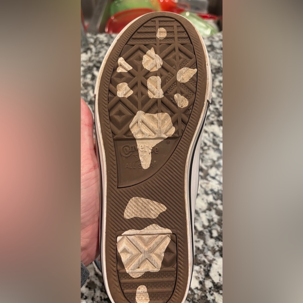 Converse Kids' Multicolor Dinosaur High-Tops - Picture 4 of 5